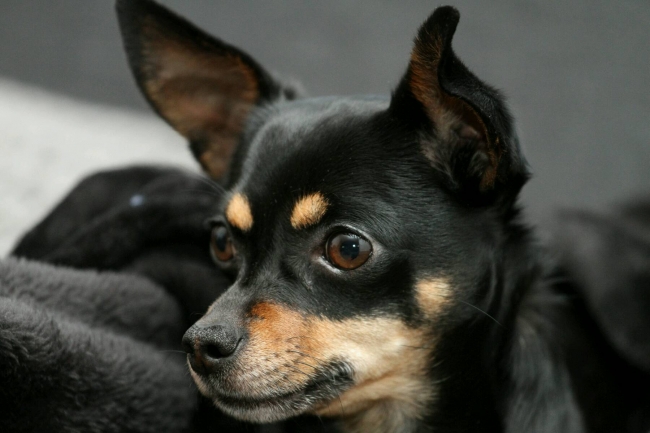 Onze logee is even mijn testmodel voor nieuw speeltje