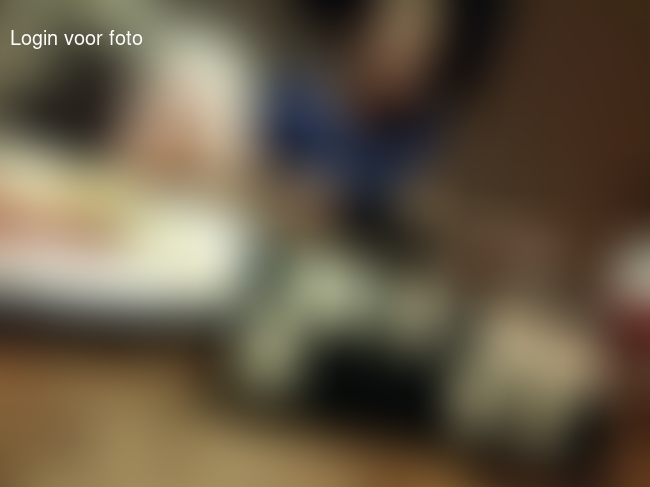 Rummikub... En de dames winnen steeds