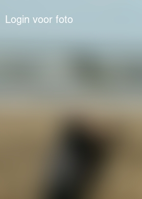 Heerlijk even op het strand