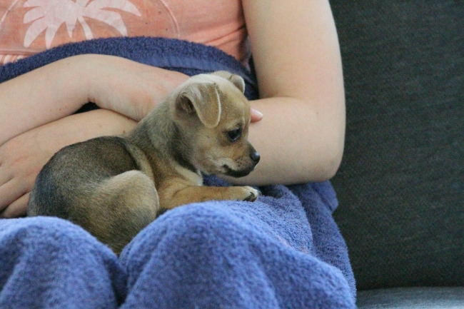 En daar is ze dan eindelijk 