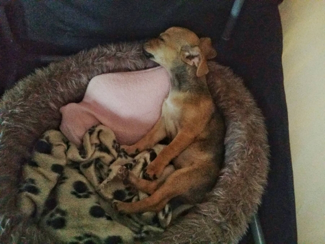 Druk gespeeld, nu weer moe