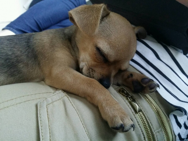 Eerste schooldag was vermoeiend