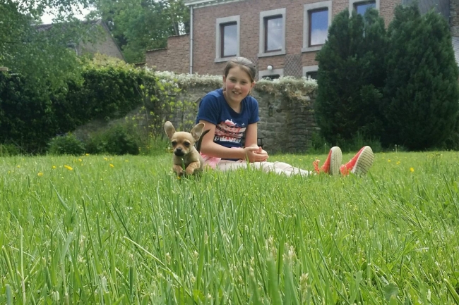 Bowzer in de Ardennen 