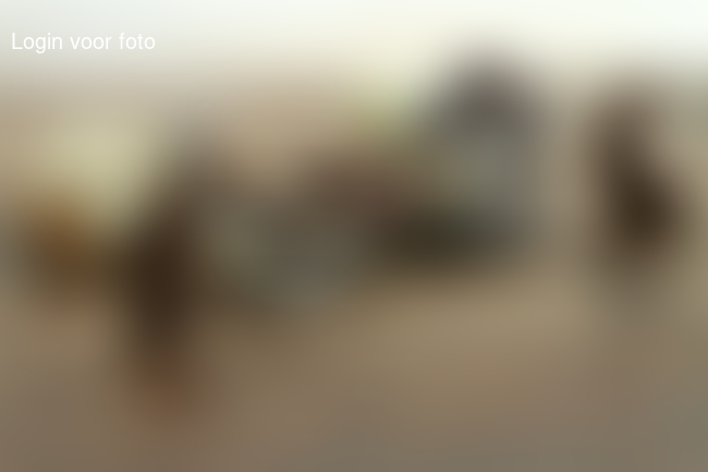 Smullen van Elines zelf gemaakte bonbons