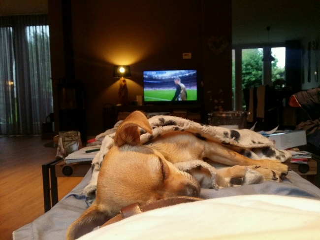 Ze vindt voetbal heeel boeiend