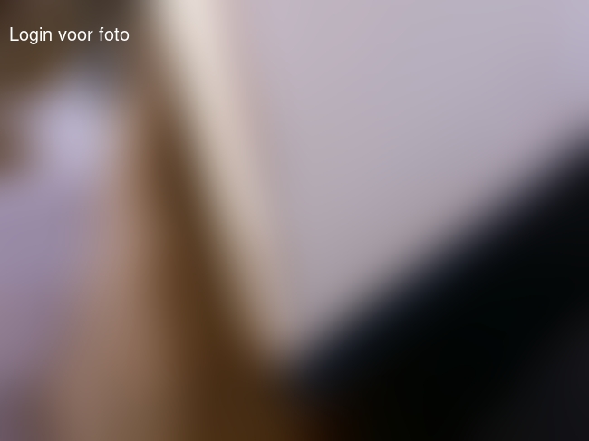 Obstakeltje over het hoofd gezien