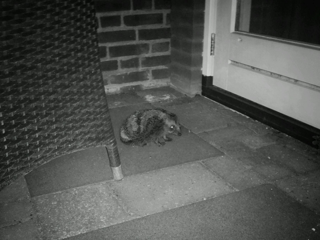 Bezoek zo laat op de avond