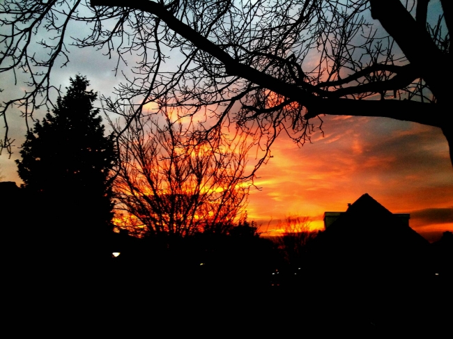 Lijkt wel of er brand is