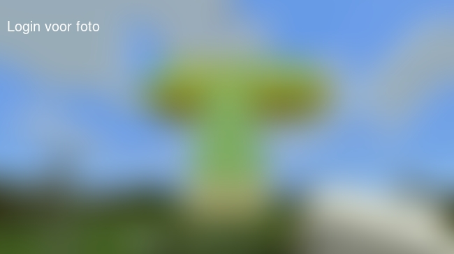 Mathijs, volgens mij heb je bezoek gehad in je minecraft server 