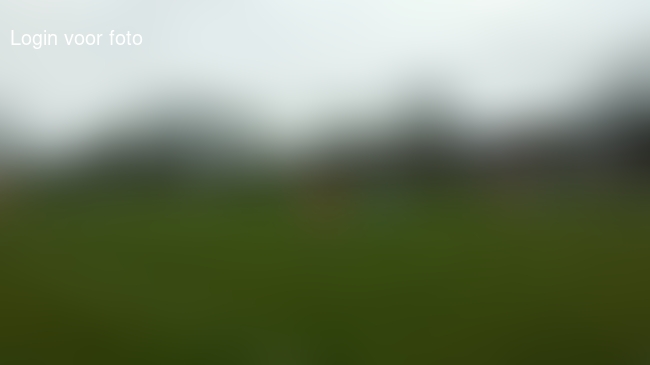 Weer 3 puntjes... Op naar de titel!