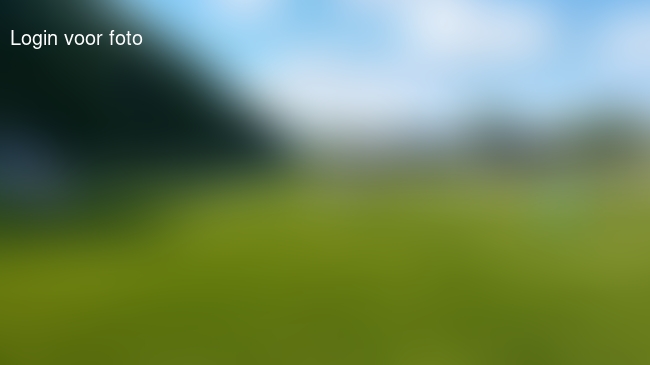 Eerste bekerpunten in de pocket 1-8