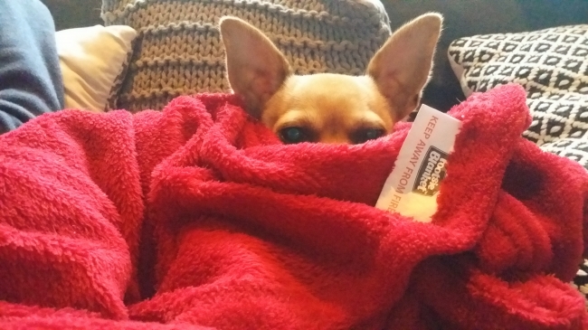 Bellen jullie als het weer zomer wordt?