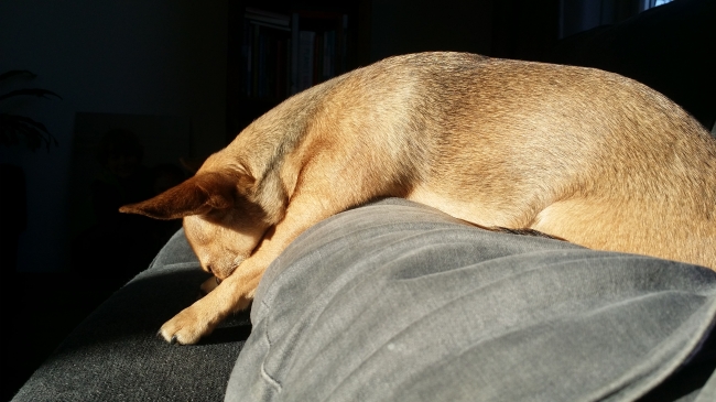 Jarig vandaag, 2 jaar!