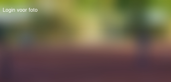 Volle bak punten gehaald in Oegstgeest