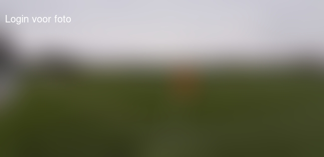 Afzien langs de lijn