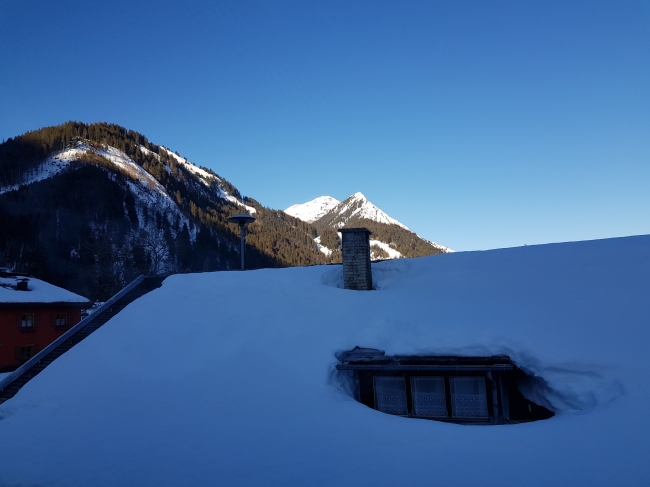 Fijne aanblik als je de gordijnen open doet