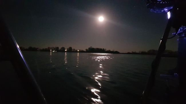 Genieten op de terugweg....