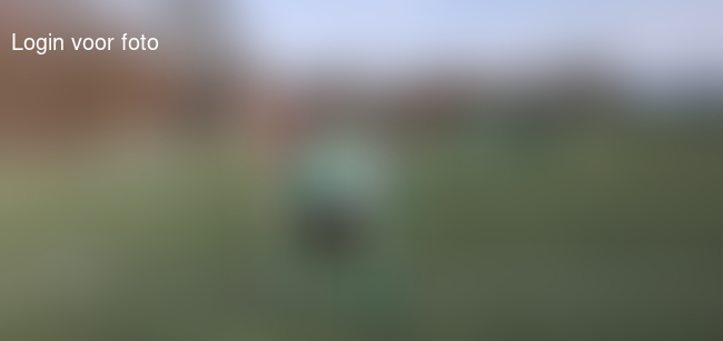 Mathijs weer de wei in