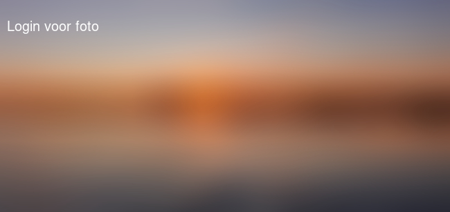 Oergezellig en keurig afstand gehouden