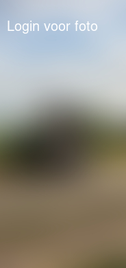 Blijft plezier die brommert