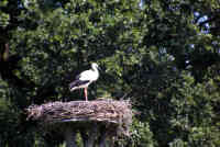 Ik moest laatst Eline op het Maliveld ophalen...